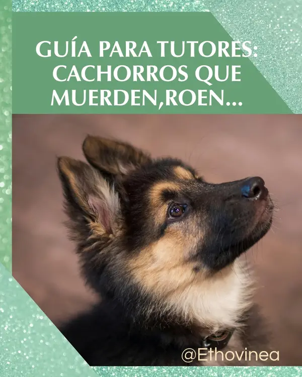Portada de la guia gratuita para tutores con cachorros que muerden
