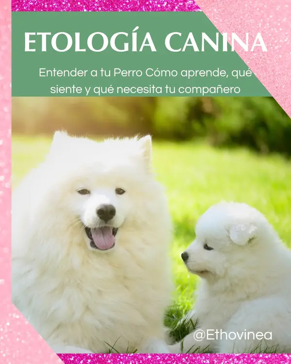 Portada de la guia digital Etologia Canina: comportamiento y bienestar