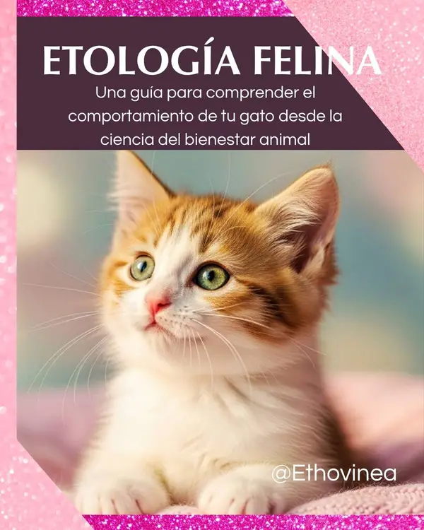 Portada de la guia digital Etologia Felina: comportamiento y bienestar