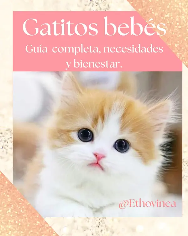 Portada de la guia digital Gatitos bebes: necesidades y bienestar felino