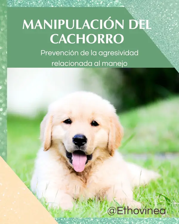 Portada de la guia digital Manipulacion del cachorro