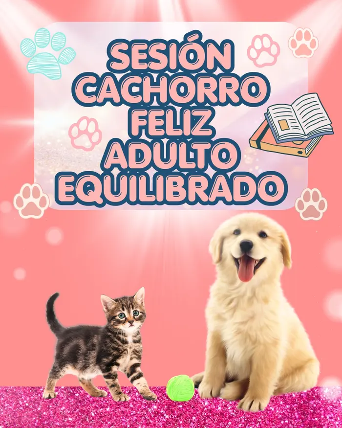 Sesión Cachorro Feliz, Adulto Equilibrado: cachorro de golden retriever y gatito